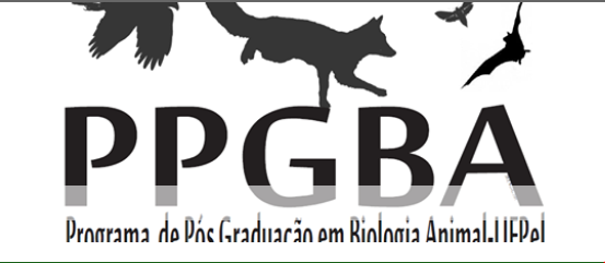 A imagem da cole&ccedil;&atilde;o