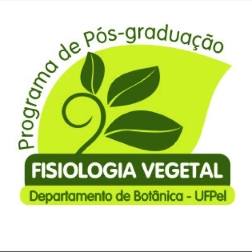 A imagem da coleção